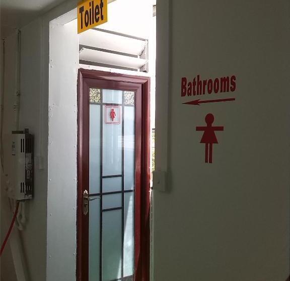 تختخواب در اتاق مشترک, Airlines Business