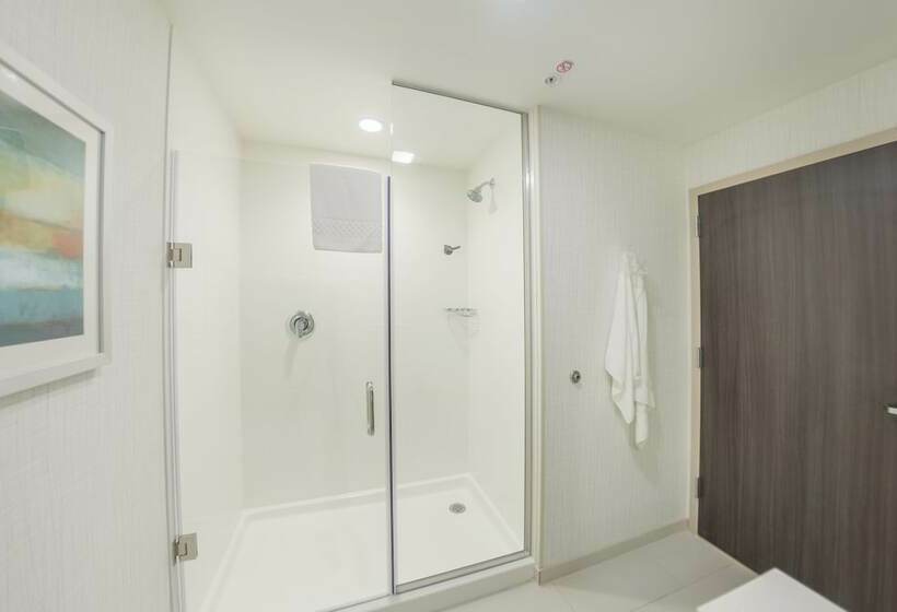 스위트, Fairfield Inn & Suites By Marriott Des Moines Altoona