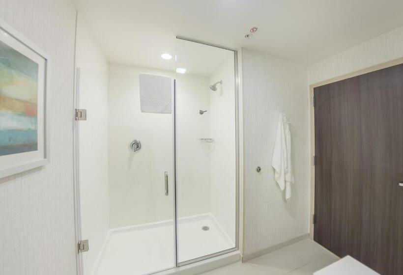 스탠다드 룸 킹사이즈 침대, Fairfield Inn & Suites By Marriott Des Moines Altoona