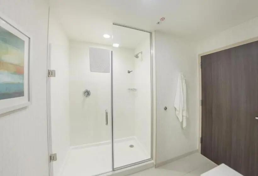 キングサイズベッドのスイートルーム, Fairfield Inn & Suites By Marriott Des Moines Altoona
