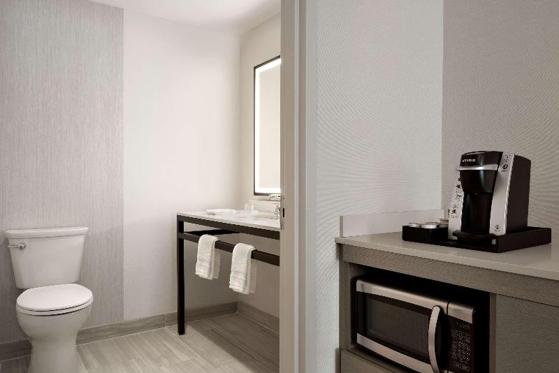 Стандартный Номер Кровать Кинг, Hilton Garden Inn Newtown Square Radnor