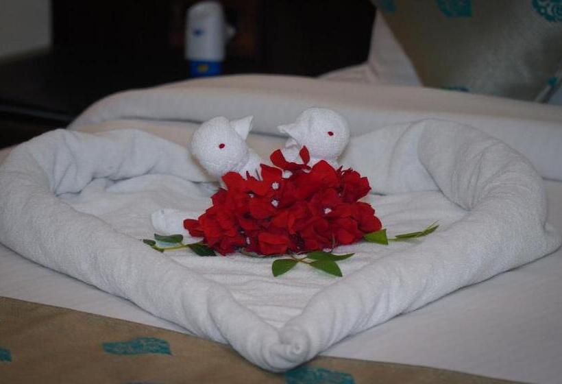 اتاق اجرایی, Comfort Hotel Vista