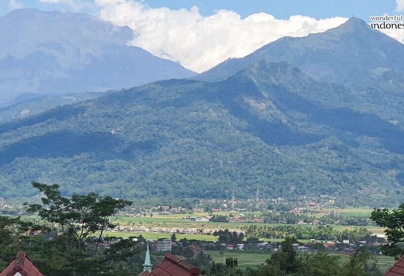 디럭스 룸, Griya Wijaya