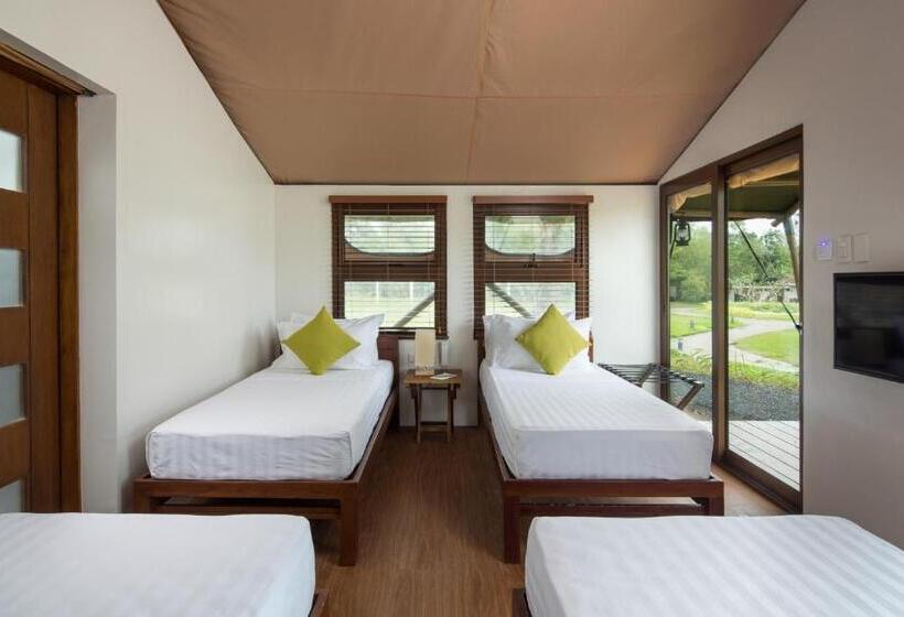 غرفة بريميوم رباعية, Solina Beach & Nature Resort