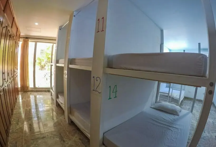 Bed in Shared Room with Shared Bathroom, Wonderland Hostel By Gb Collection