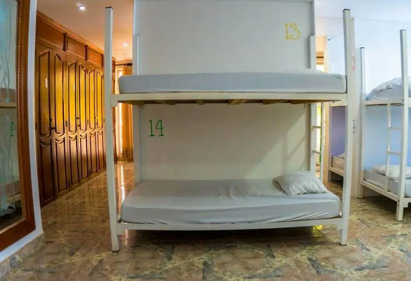 Bed in Shared Room with Shared Bathroom, Wonderland Hostel By Gb Collection