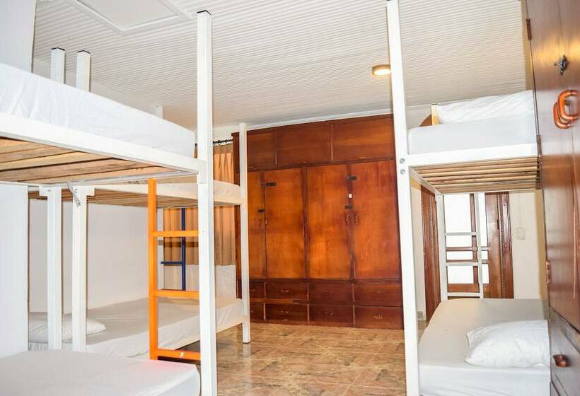 공용 욕실 구비 공동 객실 내의 침대, Wonderland Hostel By Gb Collection