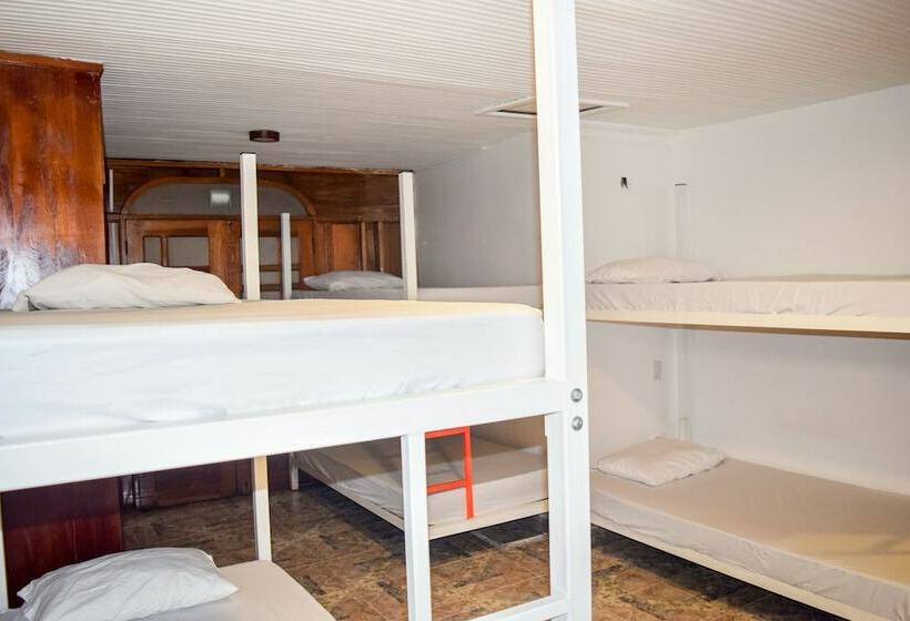 공용 욕실 구비 공동 객실 내의 침대, Wonderland Hostel By Gb Collection