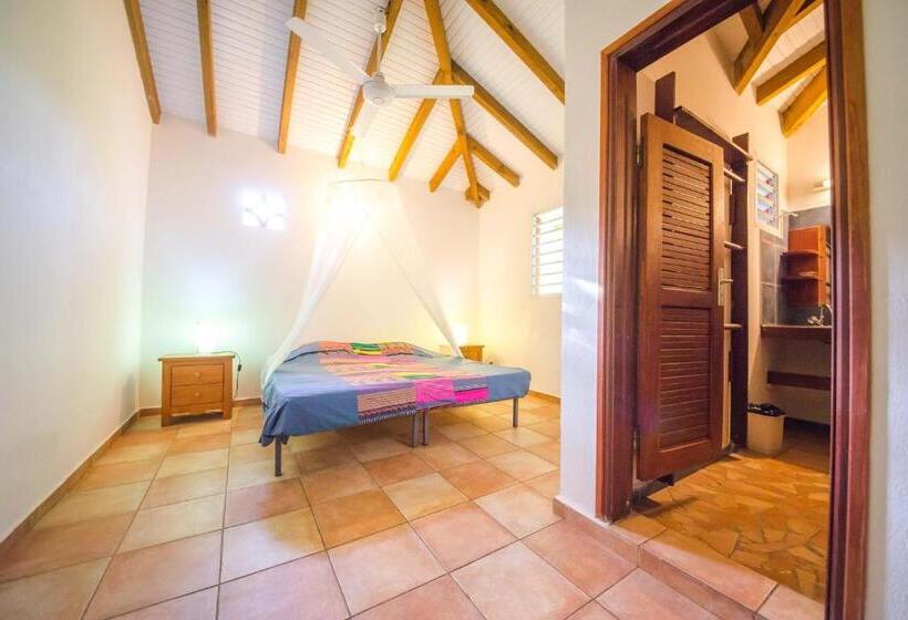 اتاق استاندارد, Sunset Surf Camp