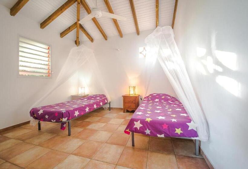 تختخواب در اتاق مشترک, Sunset Surf Camp