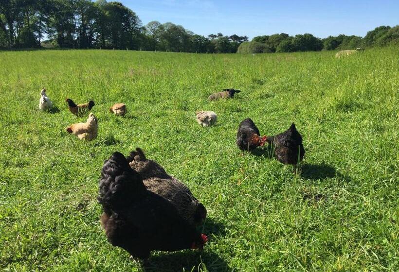 Номер Стандарт, Le Clos Du Gusquel