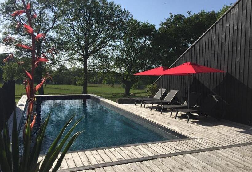 Номер Стандарт, Le Clos Du Gusquel