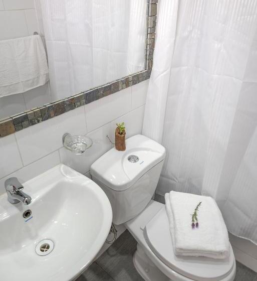 スタンダードシングルルーム, Angelmontt