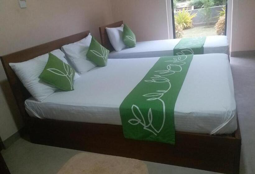 豪华家庭房间, Honey Tree Polonnaruwa