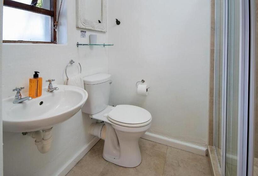 اتاق استاندارد, Aloe Again