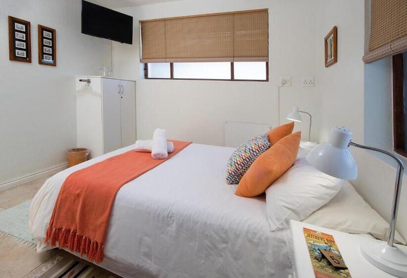 اتاق استاندارد, Aloe Again