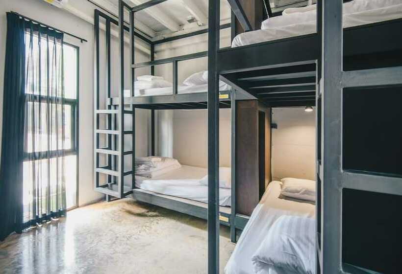 공동 객실, The Tree Sleep And Space