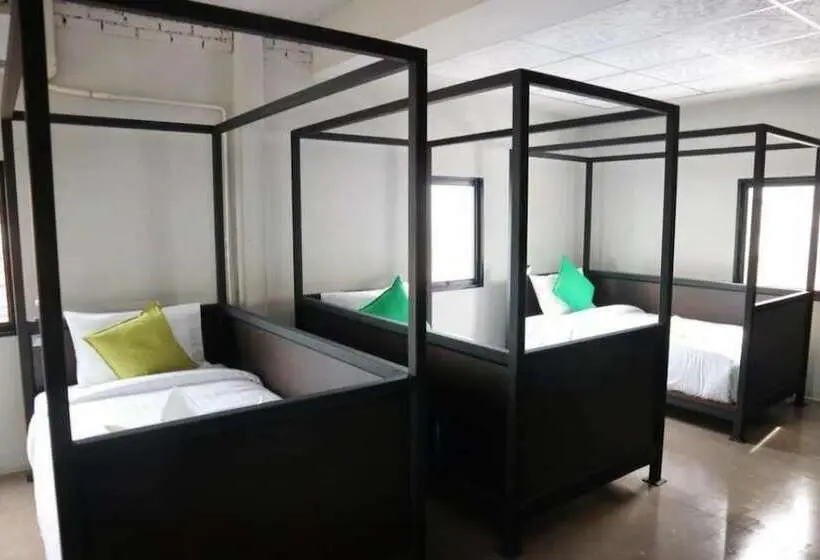 تختخواب در اتاق مشترک, The Tree Sleep And Space