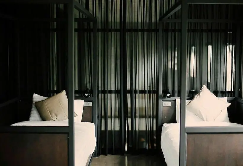 تختخواب در اتاق مشترک, The Tree Sleep And Space