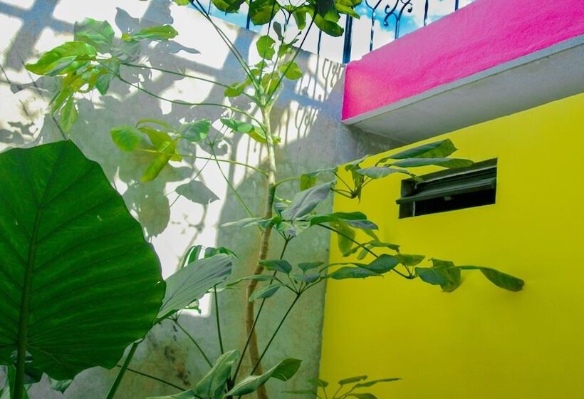 Номер Стандарт Внутренний, Agrado Guest House