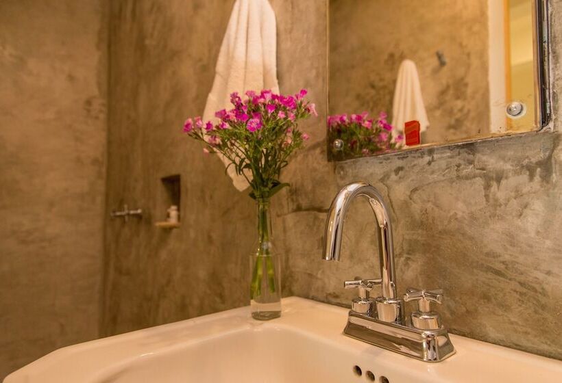 Студия Стандарт, Agrado Guest House