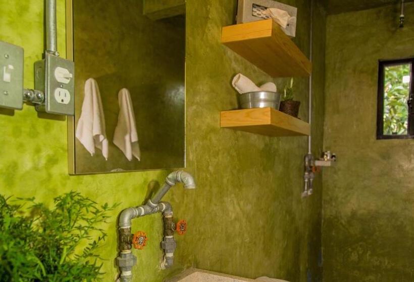 Одноместный Номер Вид на Сад, Agrado Guest House