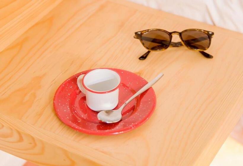 Одноместный Номер Вид на Сад, Agrado Guest House