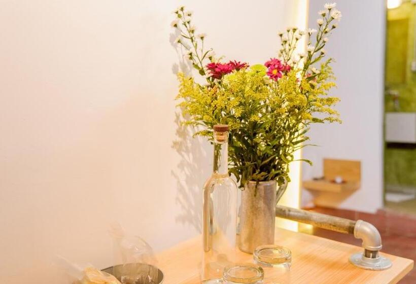 Одноместный Номер Вид на Сад, Agrado Guest House