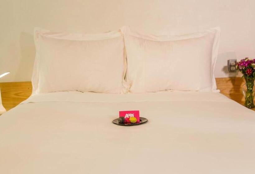 Одноместный Номер Вид на Сад, Agrado Guest House