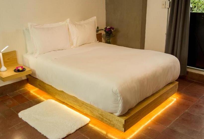 Одноместный Номер Вид на Сад, Agrado Guest House