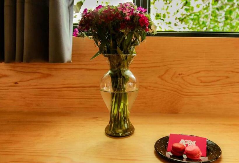 Номер Стандарт Вид на Сад, Agrado Guest House