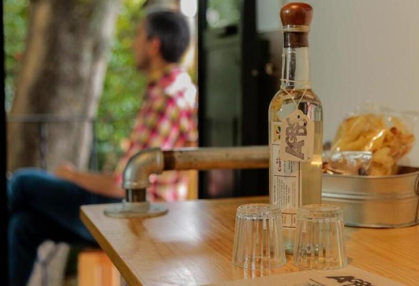 Номер Стандарт Вид на Сад, Agrado Guest House