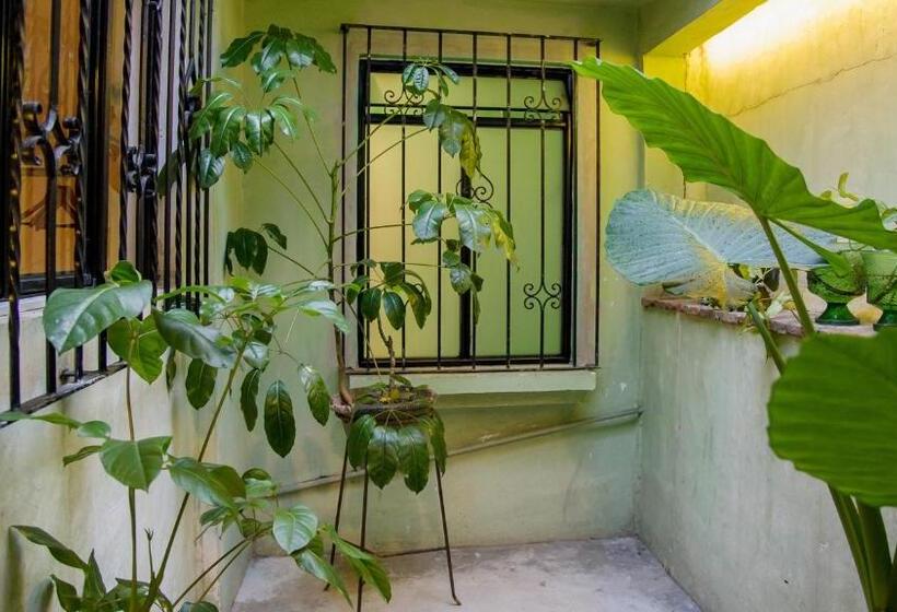 Люкс, Agrado Guest House