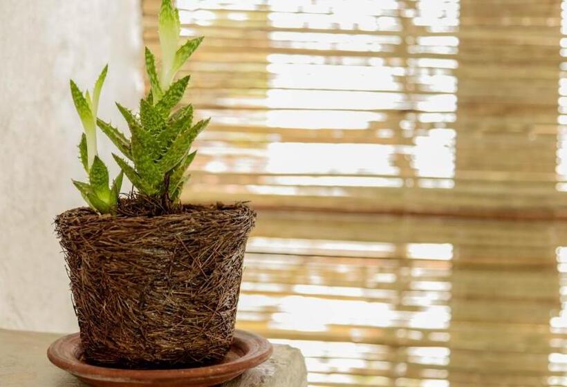 Номер Стандарт с Террасой, Agrado Guest House