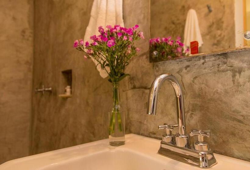 Студия Стандарт, Agrado Guest House