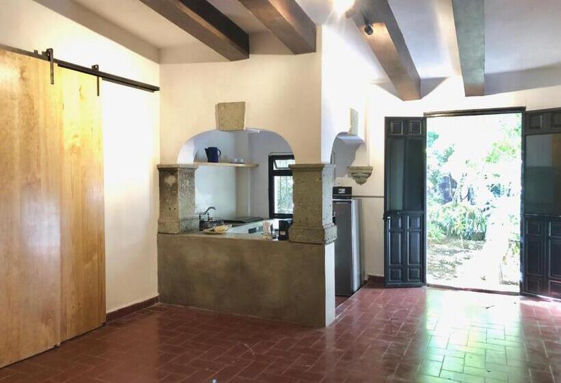 Апартаменты 1 Спальня Вид на Сад, Agrado Guest House