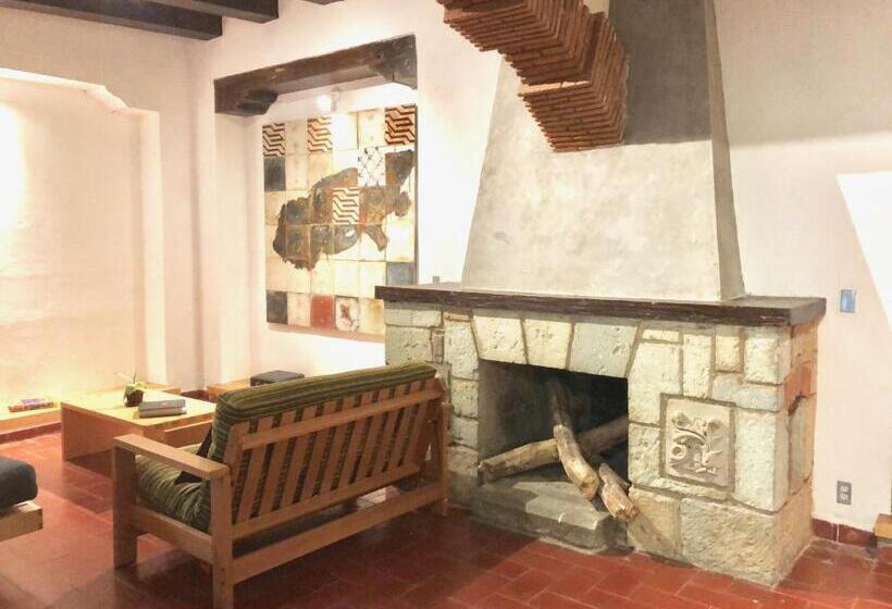 Апартаменты 1 Спальня Вид на Сад, Agrado Guest House