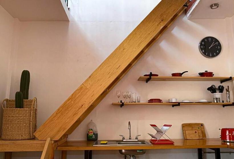 Апартаменты 1 Спальня с Террасой, Agrado Guest House