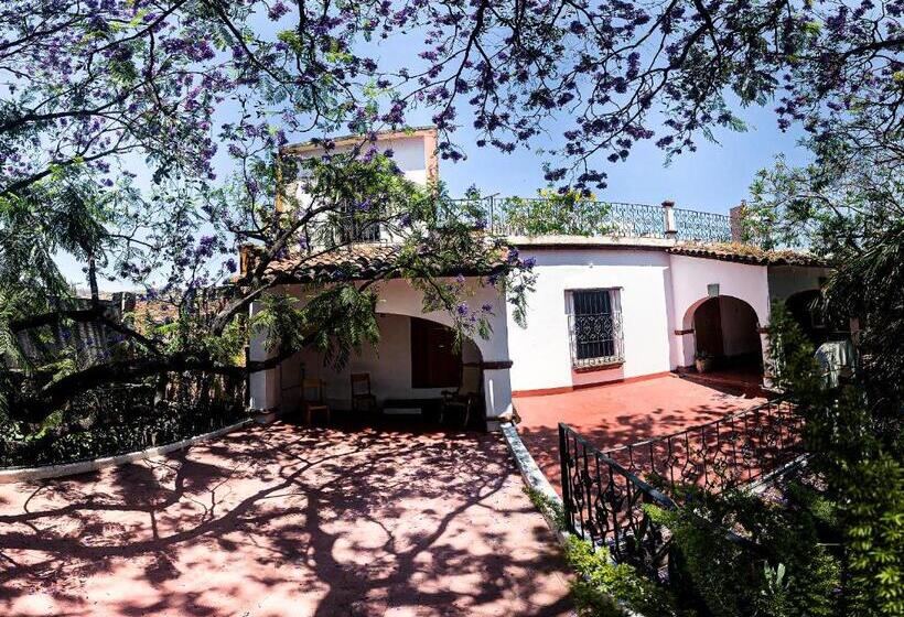 Апартаменты 1 Спальня с Террасой, Agrado Guest House