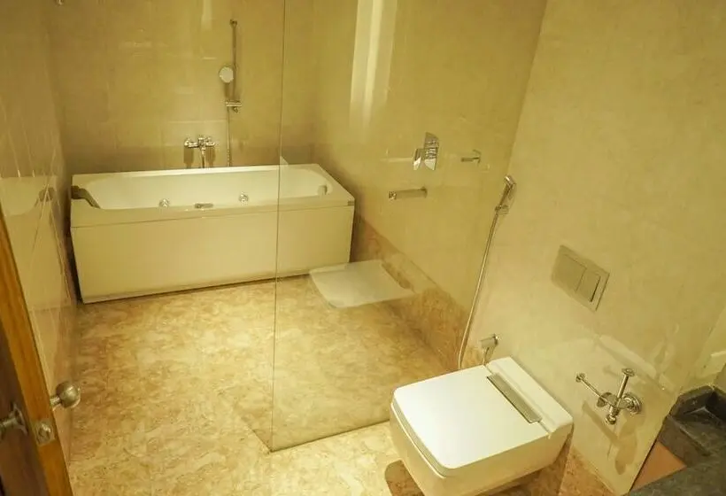 Suite Executive, Lemon Tree Premier Patna