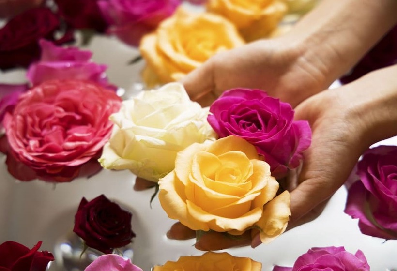 سوئیت پریمیوم, Villa Terrace Omura Hotels & Resorts