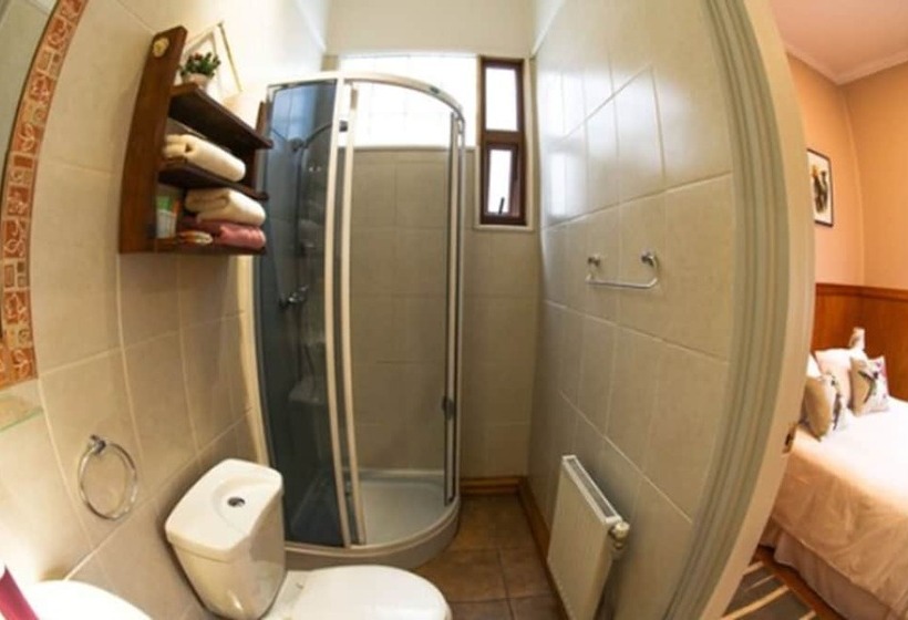 Номер Стандарт Индивидуальный, Albatros