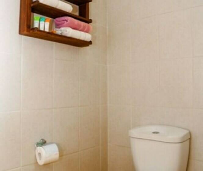 Номер Стандарт, Albatros