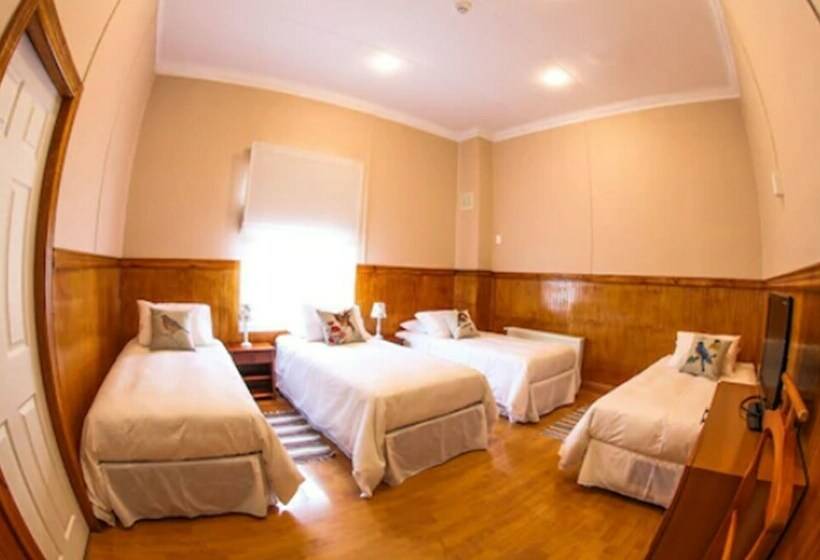 Номер Стандарт Трехместный, Albatros