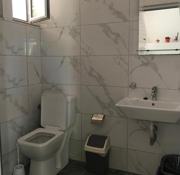 バルコニー付きスタンダードトリプルルーム, Shark