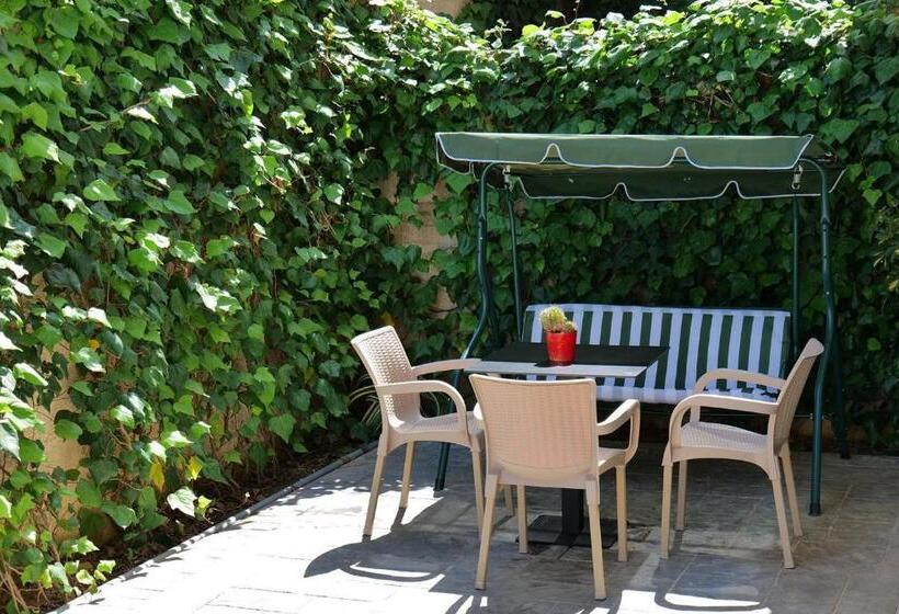 ガーデンビュースタンダードルーム, Shark