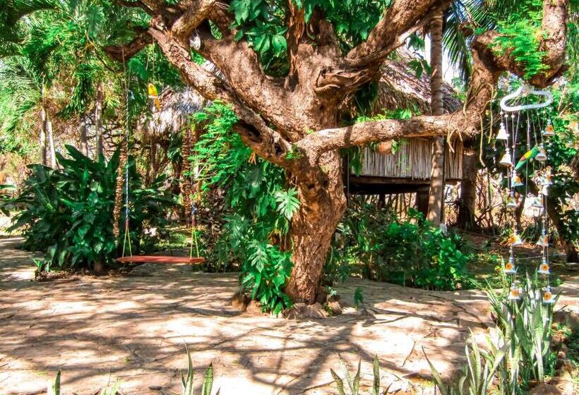 اتاق استاندارد, Restaurante Spa La Barca De Oro