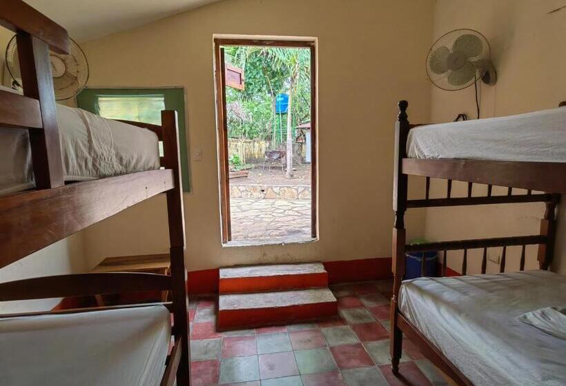 تختخواب در اتاق مشترک, Restaurante Spa La Barca De Oro