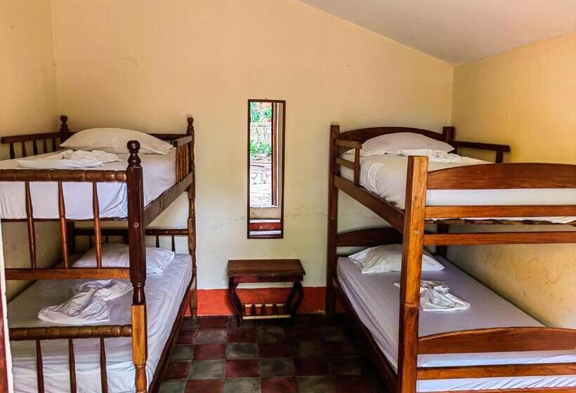 تختخواب در اتاق مشترک, Restaurante Spa La Barca De Oro