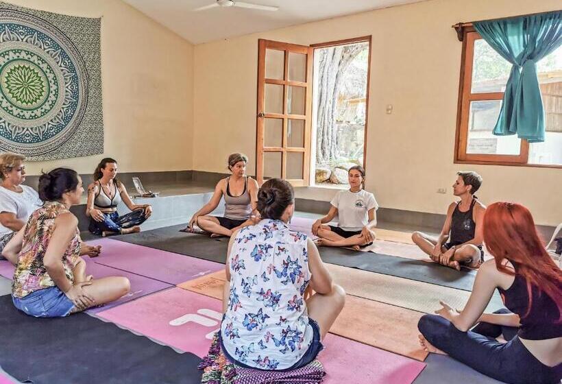 تختخواب در اتاق مشترک, Restaurante Spa La Barca De Oro